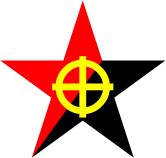 nationale Anarchie, Nationalanarchismus